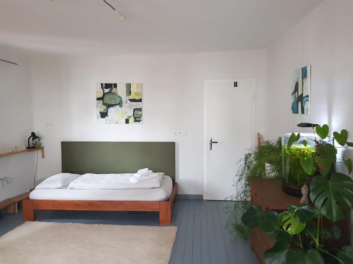 Aeltestes Haus In Quentel - Ferienwohnung 2 Mit Dachterrasse Lichtenau Eksteriør bilde